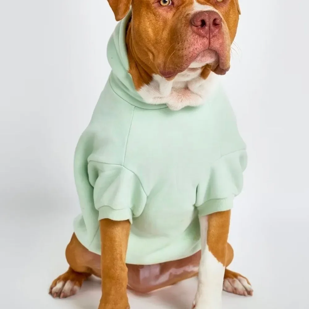 Pastel Paw Hoodie